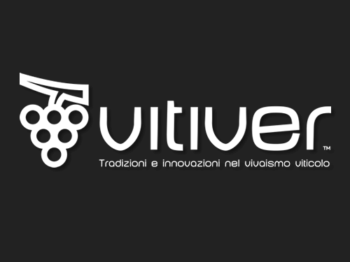 Vitiver